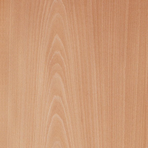 madeira lamina folha faia madeireira bernauer nobres