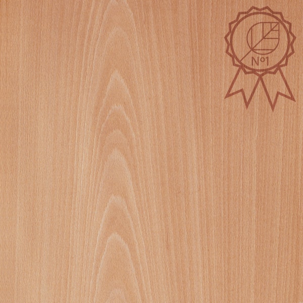 Faia melhor madeira maciça Madeireira Bernauer faia melhor madeira macica madeireira bernauer