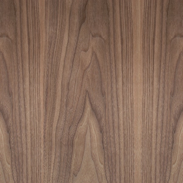 Nogueira madeira maciça Nogueira americana madeireira bernauer