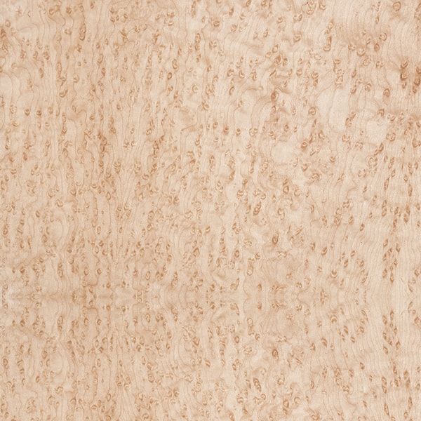 Olho.passarinho Olho.passarinho