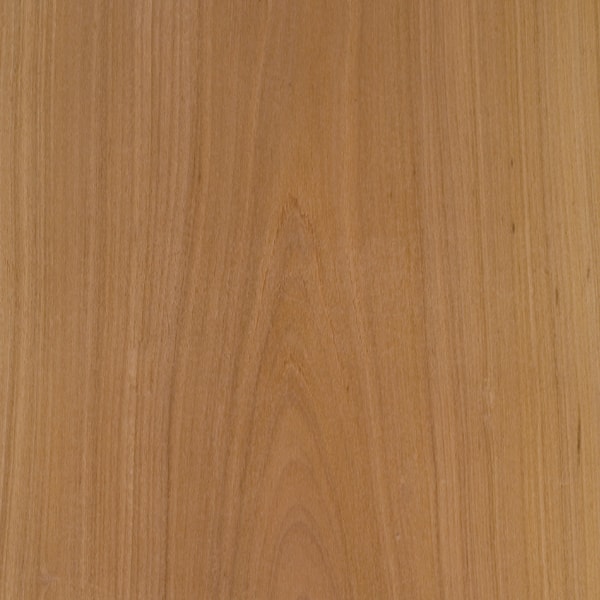 Perobinha.campo madeira lâmina folha perobinha campo Madeireira Bernauer excepcional