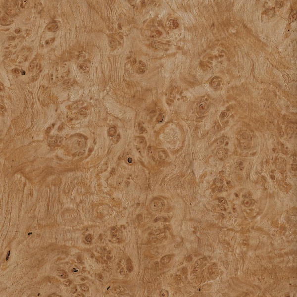 madeira lamina folha radica carvalho madeireira bernauer excentrica