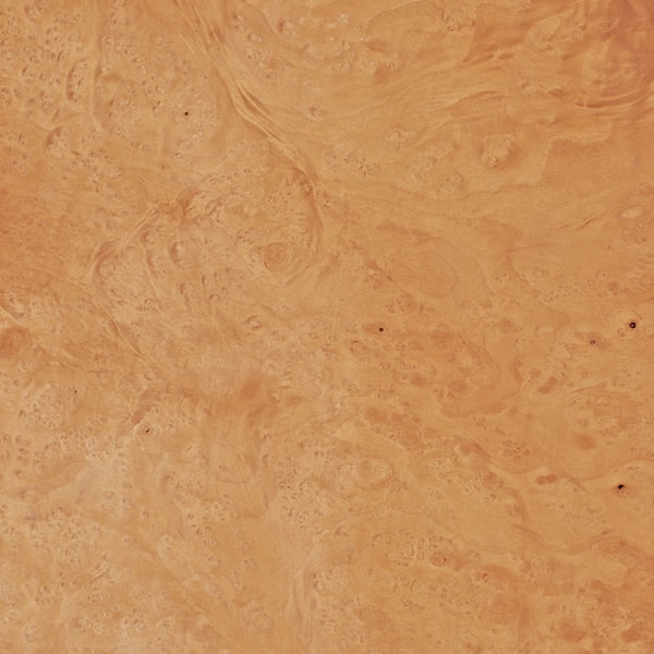 madeira lamina folha radica myrtle madeireira bernauer excentrica