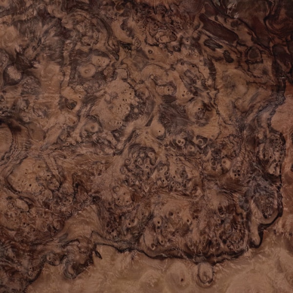 madeira lamina folha radica nogueira madeireira bernauer excentrica