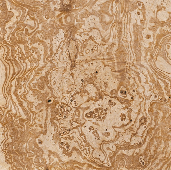 madeira lamina folha radica oliva madeireira bernauer excentrica