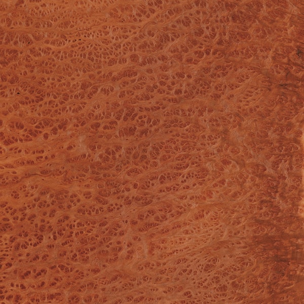 madeira lamina folha radica pimenta madeireira bernauer excentrica