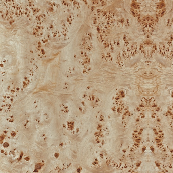 madeira lamina folha radica pioppo madeireira bernauer excentrica