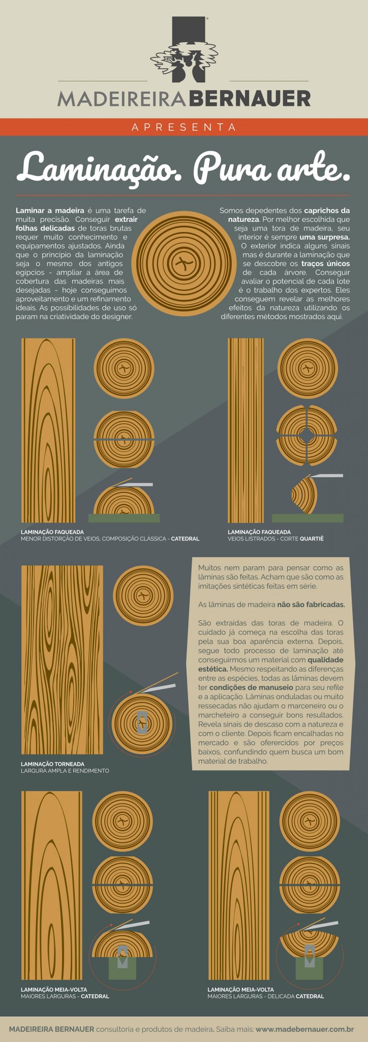 folha de madeira lamina de madeira madeireira bernauer-min folha de carvalho madeireira bernauer