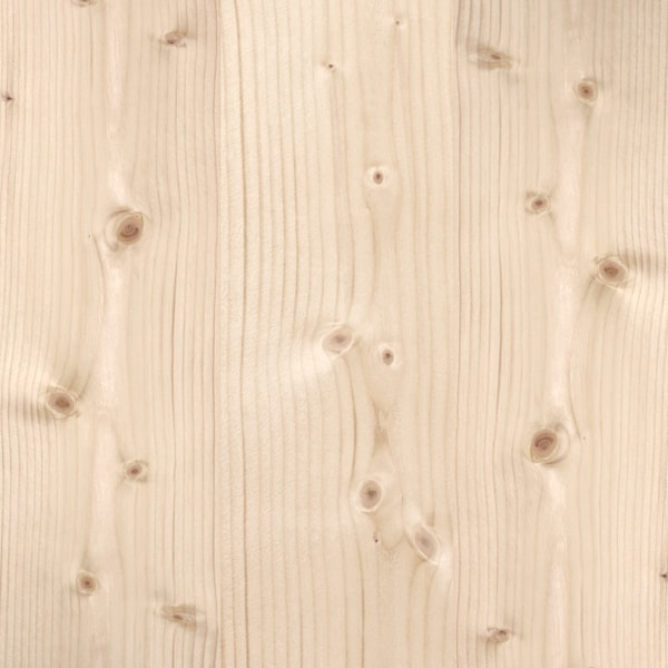 pinho europeu folha lamina madeira natural madeireira bernauer