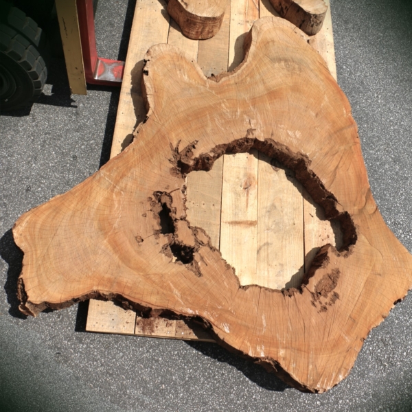 Perobinha.campo bolacha Perobinha.campo bolacha de madeira maciça Madeireira Bernauer